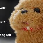 William247 William247 Profile Picture