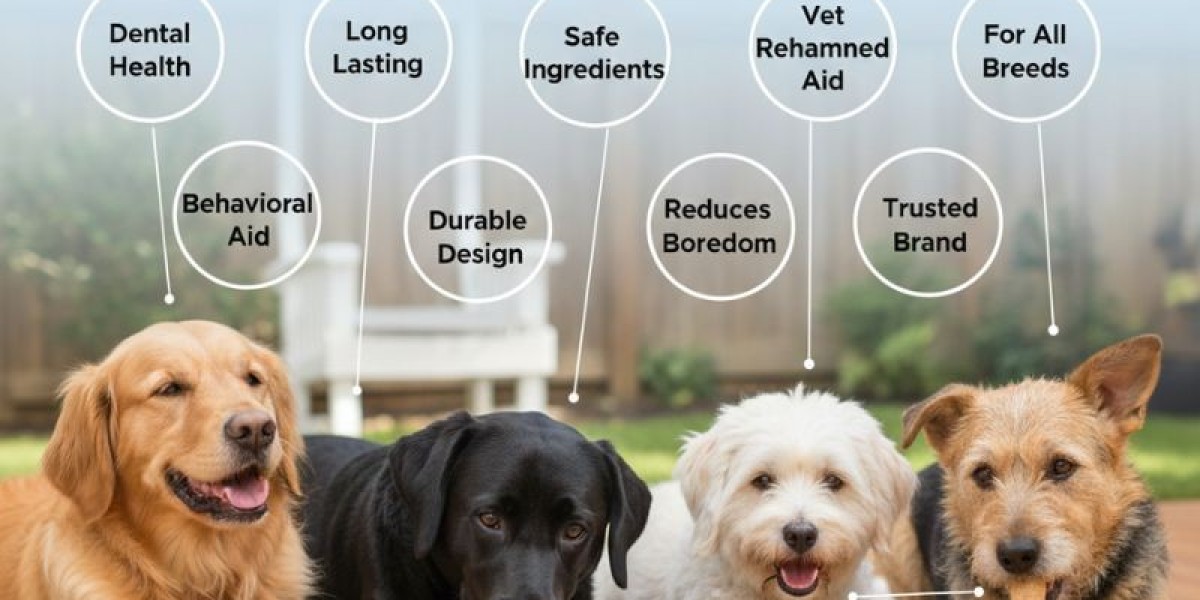 10 Reasons Dog Owners Trust Nylabones for Dogs