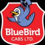 Bluebird Cabs Ltd profile picture