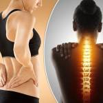 nikita deshmukh55 Profile Picture