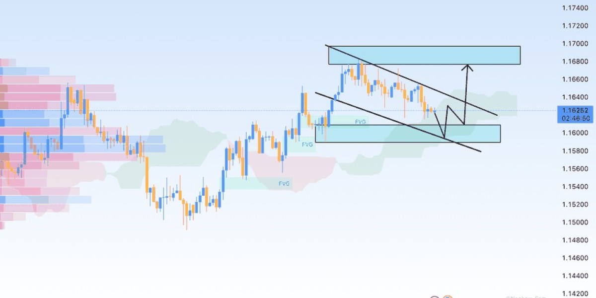 Forex Brokers for Beginners: Start Trading Safe