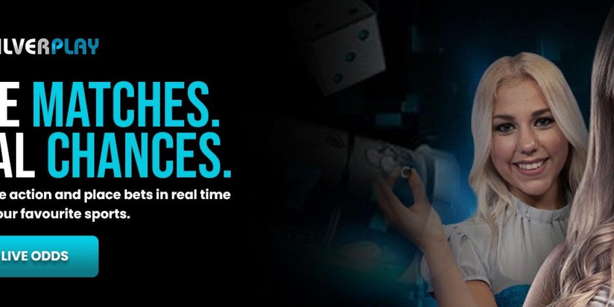 Top-Plattformen mit Sofortauszahlung: So finden