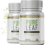 PureLeaf CBD Profile Picture