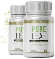 PureLeaf CBD Profile Picture