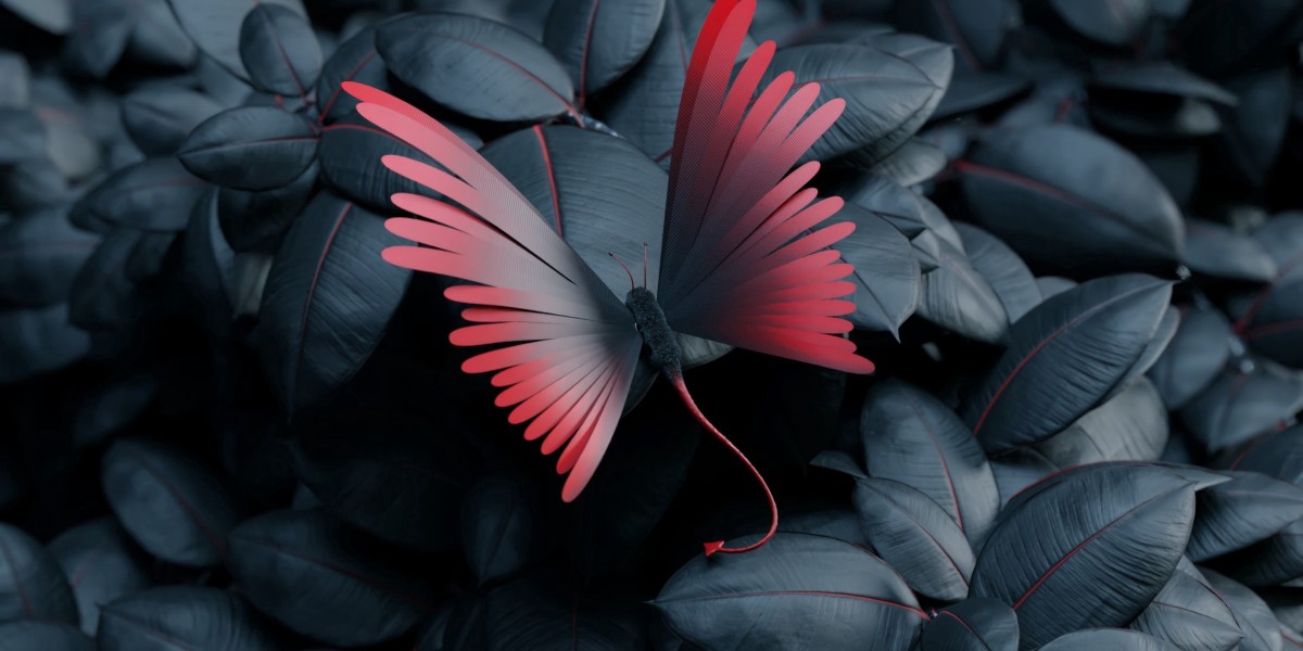 Internet in the UAE: Your Cornerstone to get El