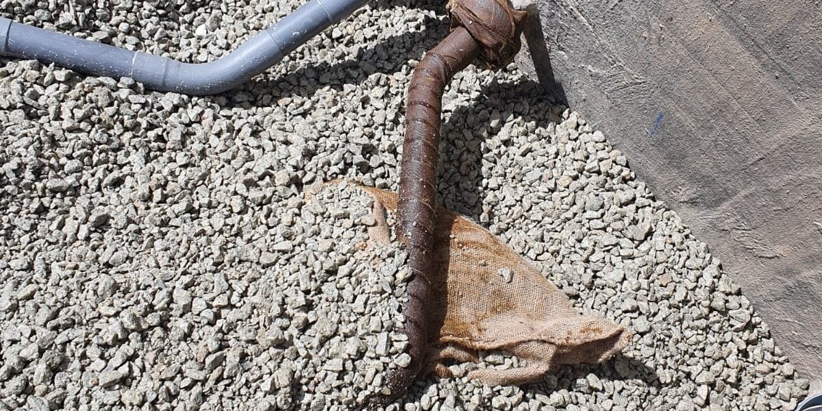 Powering Singapore's Future: From Traditional F