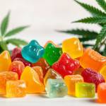 sumitrakank Profile Picture