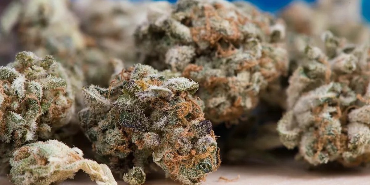 Building Trust and Transparency