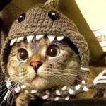 Mykola Melnik profile picture