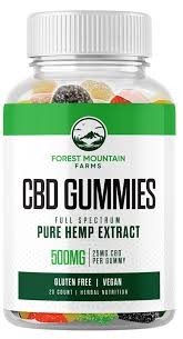 gwen mitcz Profile Picture