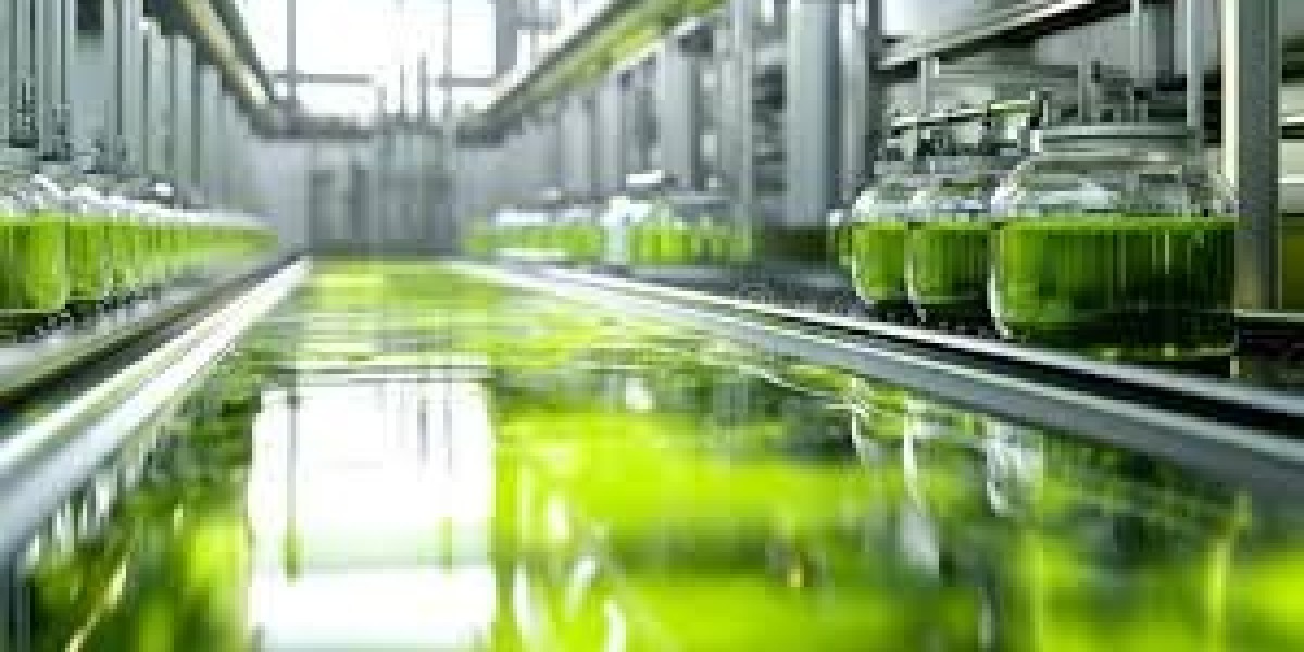 Algae Oil Market Higher Production Efficiency