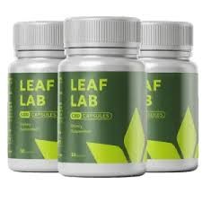 Leaf Lab Profile Picture