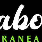 616kabob stop Profile Picture