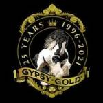 Gypsy Gold Horse Farm Profile Picture