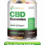 Paulopeland Profile Picture