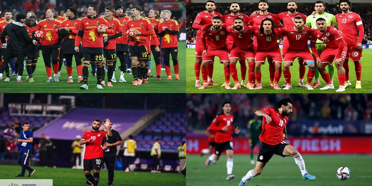 Soccer World Cup Tickets: Egyptian FA dismisses