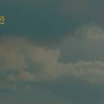 rank mantra Profile Picture