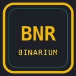 BNB chain on chain mining profile picture