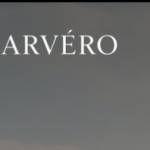 Arvero Brand Profile Picture