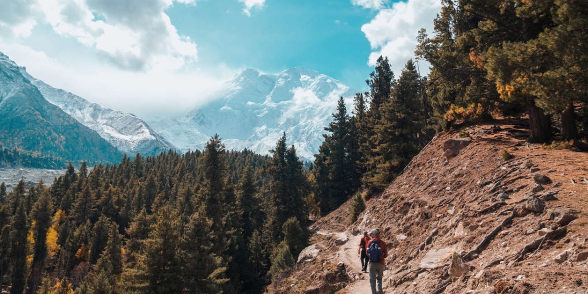 Fairy Meadows Trek | Experience Pakistan's Icon