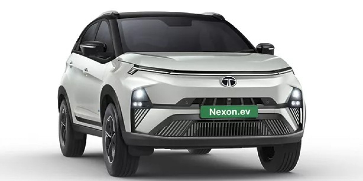How Are Electric Vehicles Transforming the Auto