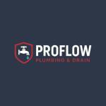 ProFlow Plumbing & Drain Profile Picture
