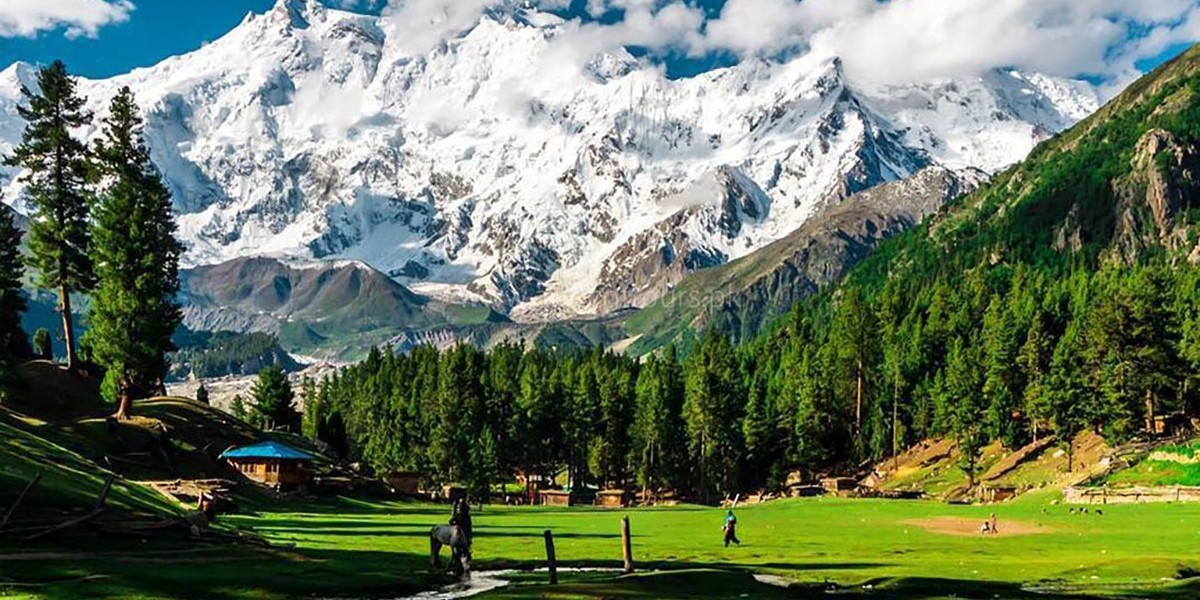 Nanga Parbat Expedition 2026 | Professional Exp