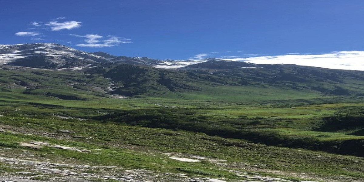 Valley of Flowers India: Complete Trek