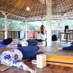 yoga chaitanya Profile Picture