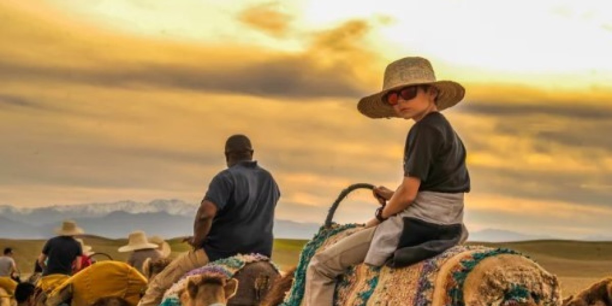 Personalized Private Travel Adventures