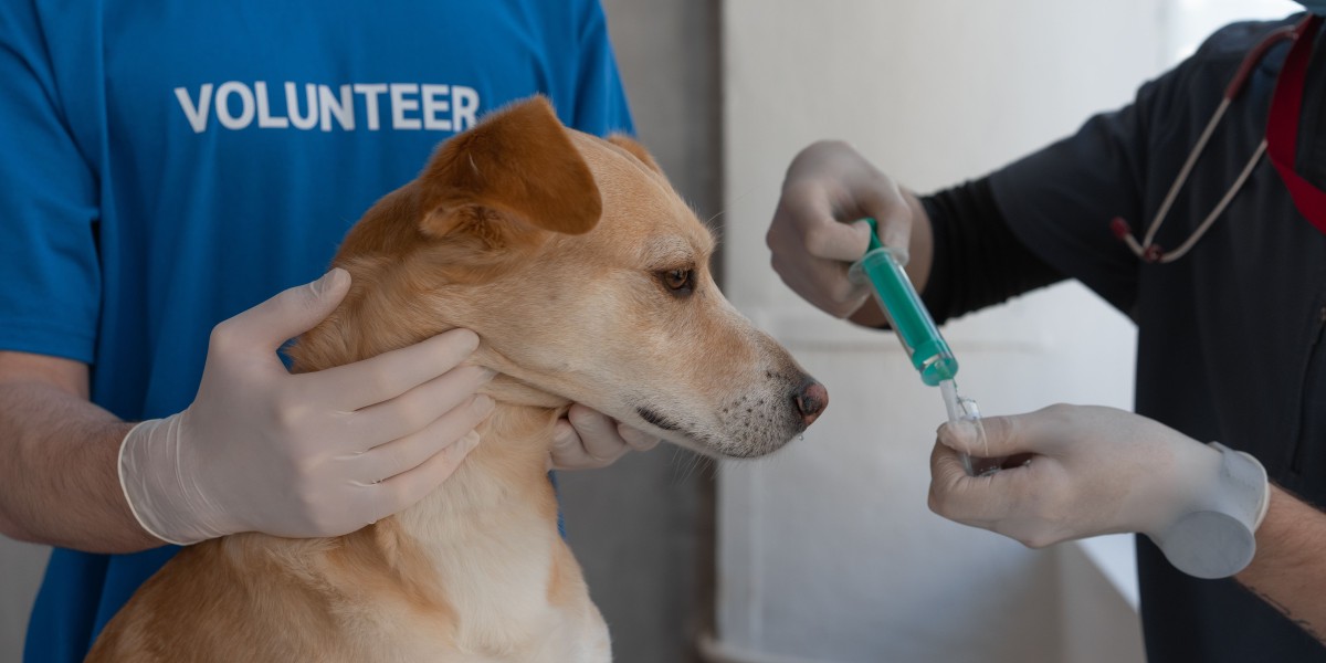 Veterinary Vaccines Market Impacting Factors