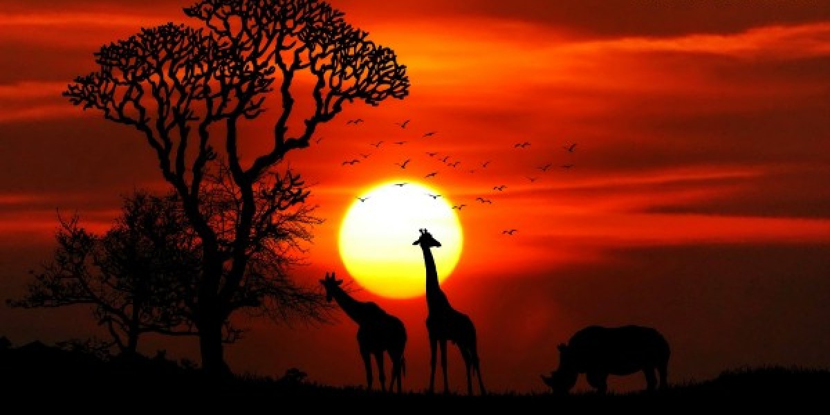 Africa with the Best Luxury Safari Company