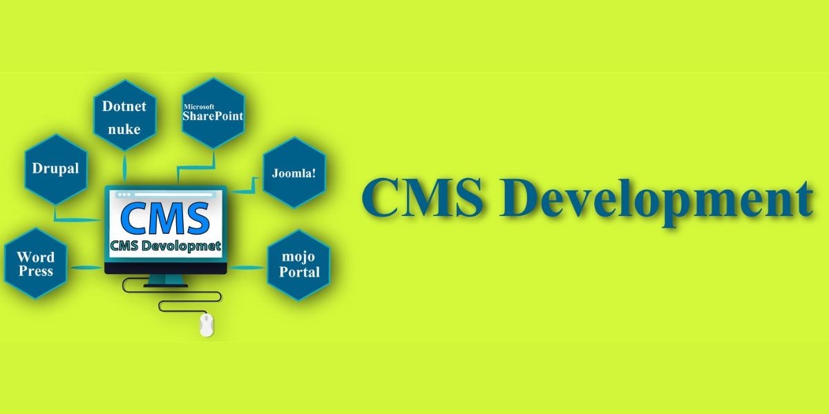 Professional CMS Development Services for Websi