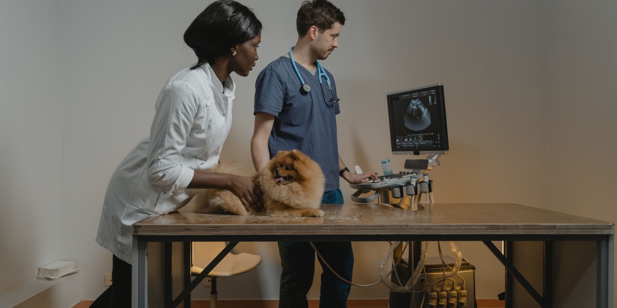 Veterinary Ultrasound Scanner Market