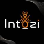 Intozi Tech Pvt Ltd Profile Picture