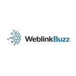 Weblinkbuzz Ltd Profile Picture