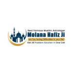 Molana Hafiz Ji Profile Picture