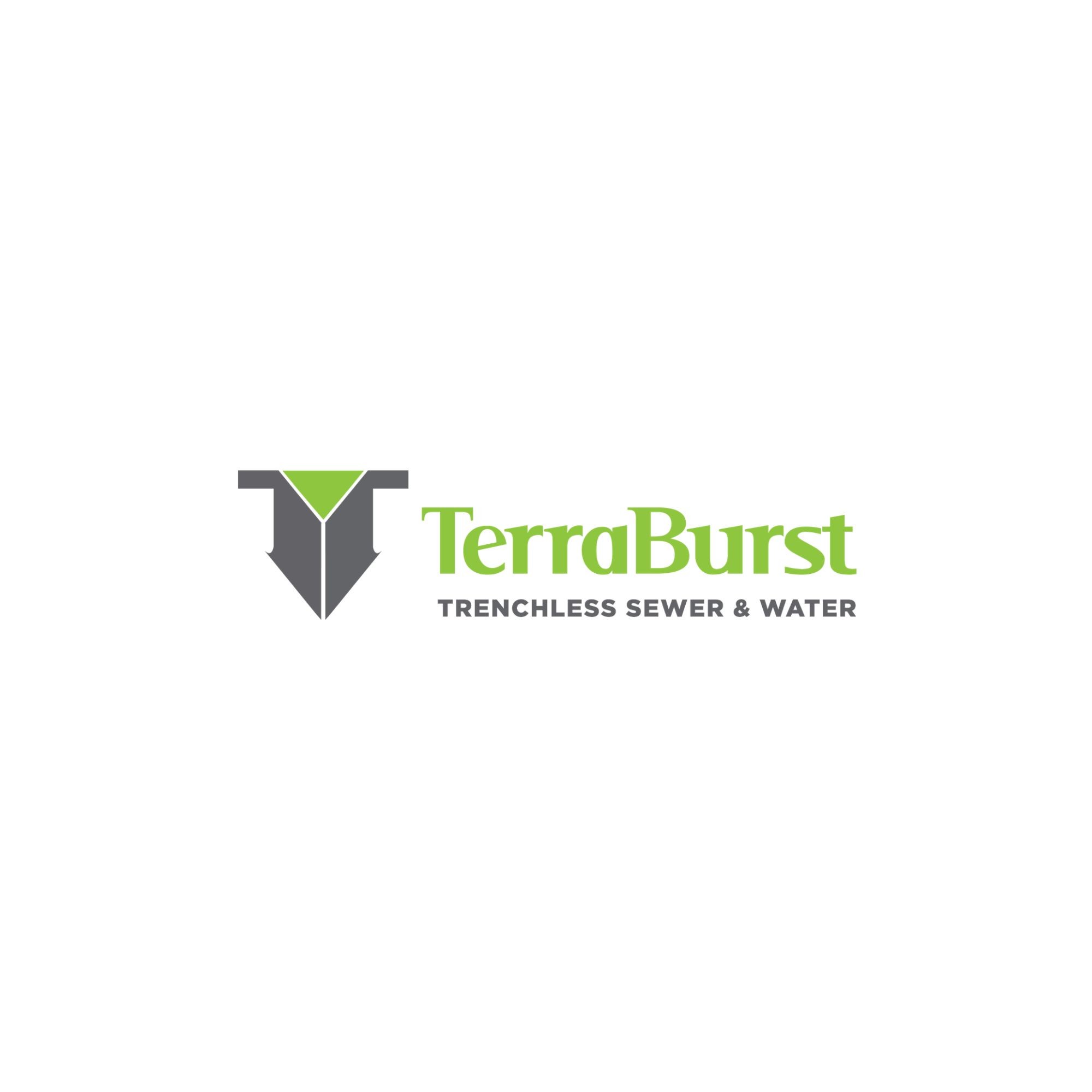Terra Burst Profile Picture