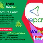 Buy Verified WePay Accounts Profile Picture
