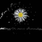 allergy asthma and immunology institute Profile Picture