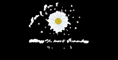 allergy asthma and immunology institute Profile Picture