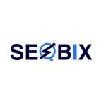 Seo Bix Profile Picture