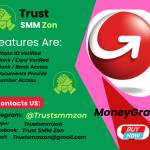 Buy Verified MoneyGram Accounts Profile Picture