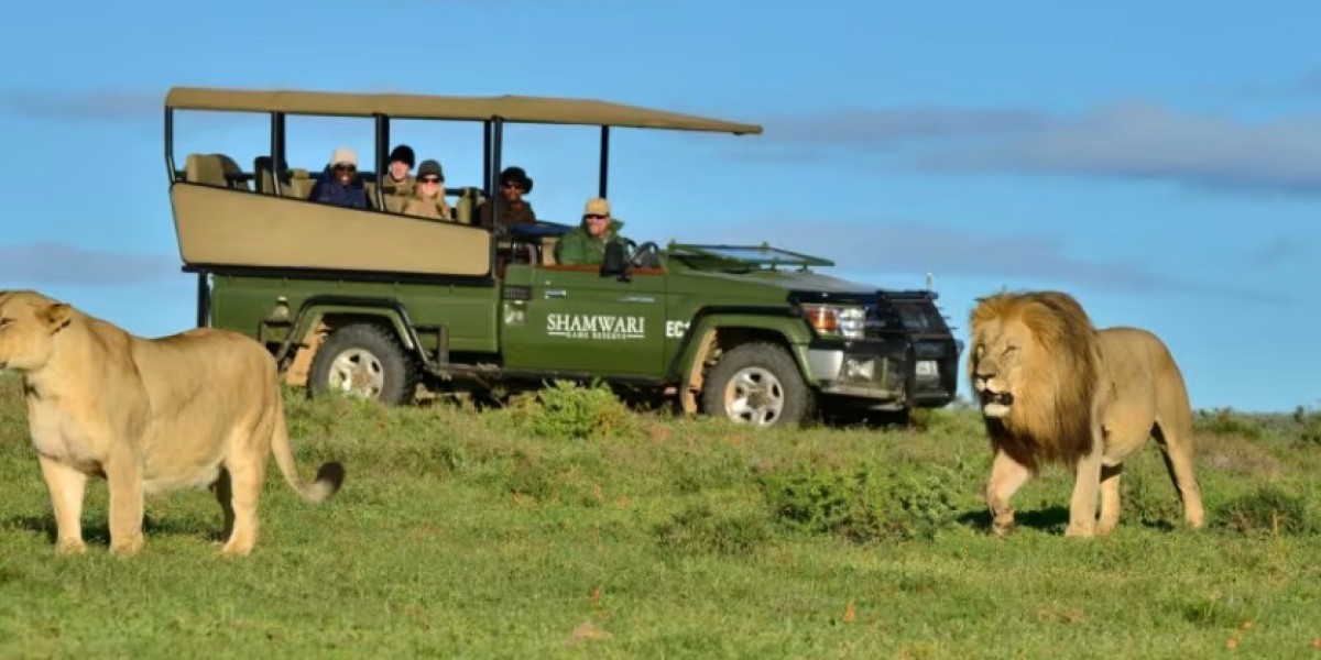 Explore South Africa's Game Parks with Awayzing