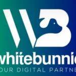 white bunnie Profile Picture