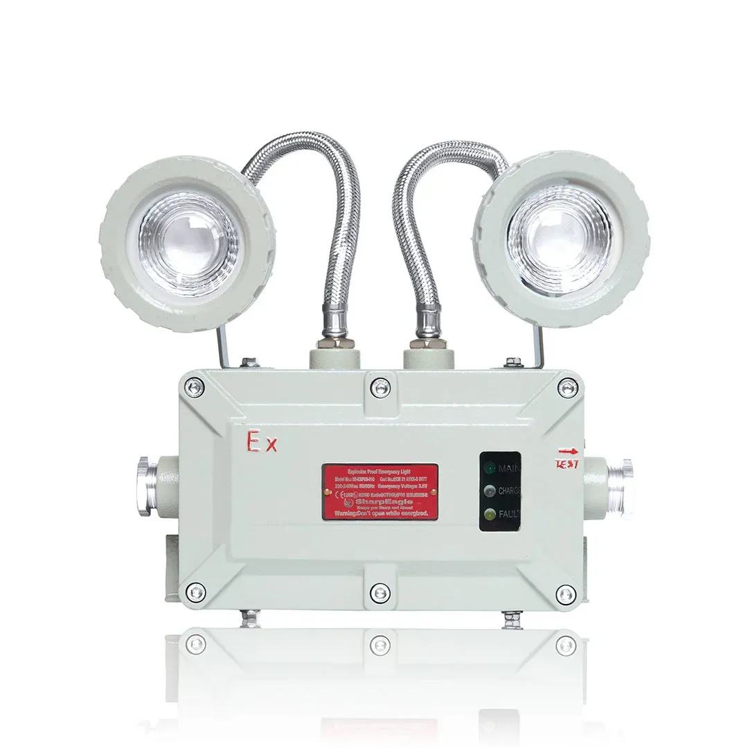 Explosion Proof Emergency Light | SharpEagle