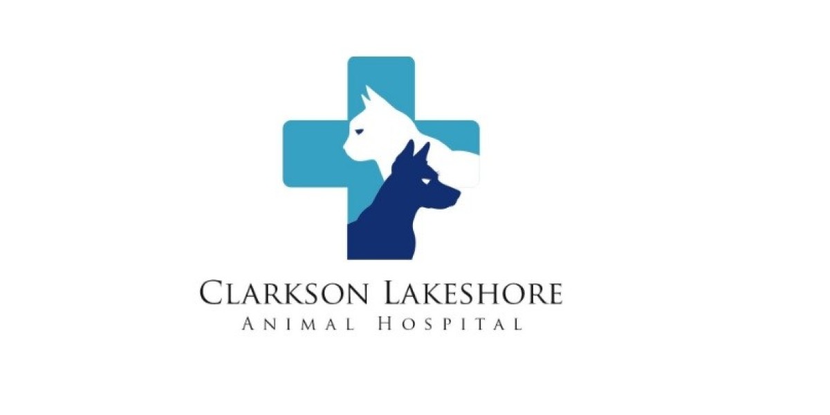 How do you apply for an animal export certifica
