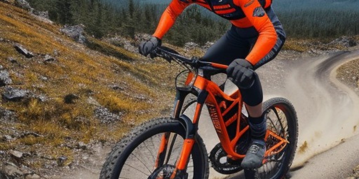 Giant electric bike