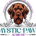 Mystic Paws Academy Profile Picture