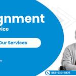 Ibrahim Infotech Profile Picture